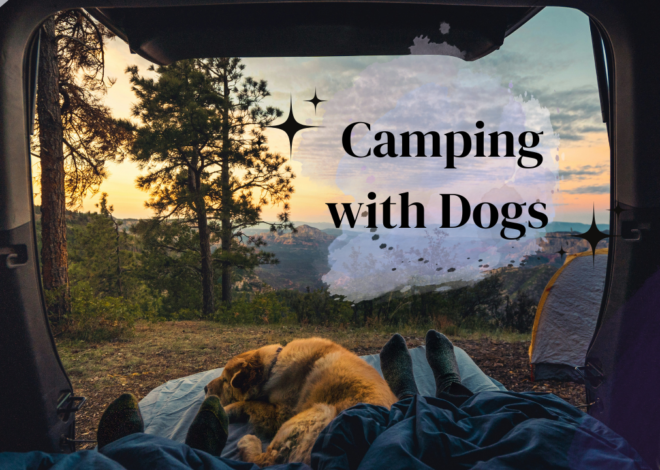 Camping with Dogs: Portable Dog Fence Tips