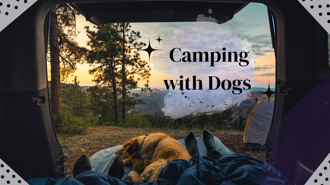 Camping with Dogs: Portable Dog Fence Tips