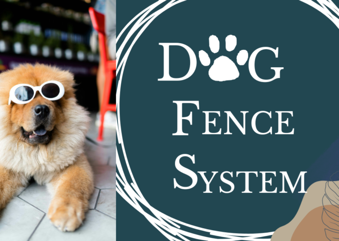 Best GPS Dog Fence Systems Available