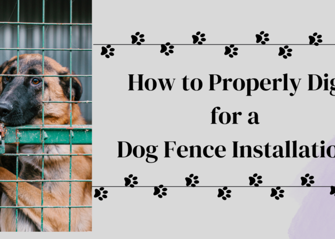 How to Properly Dig for a Dog Fence Installation