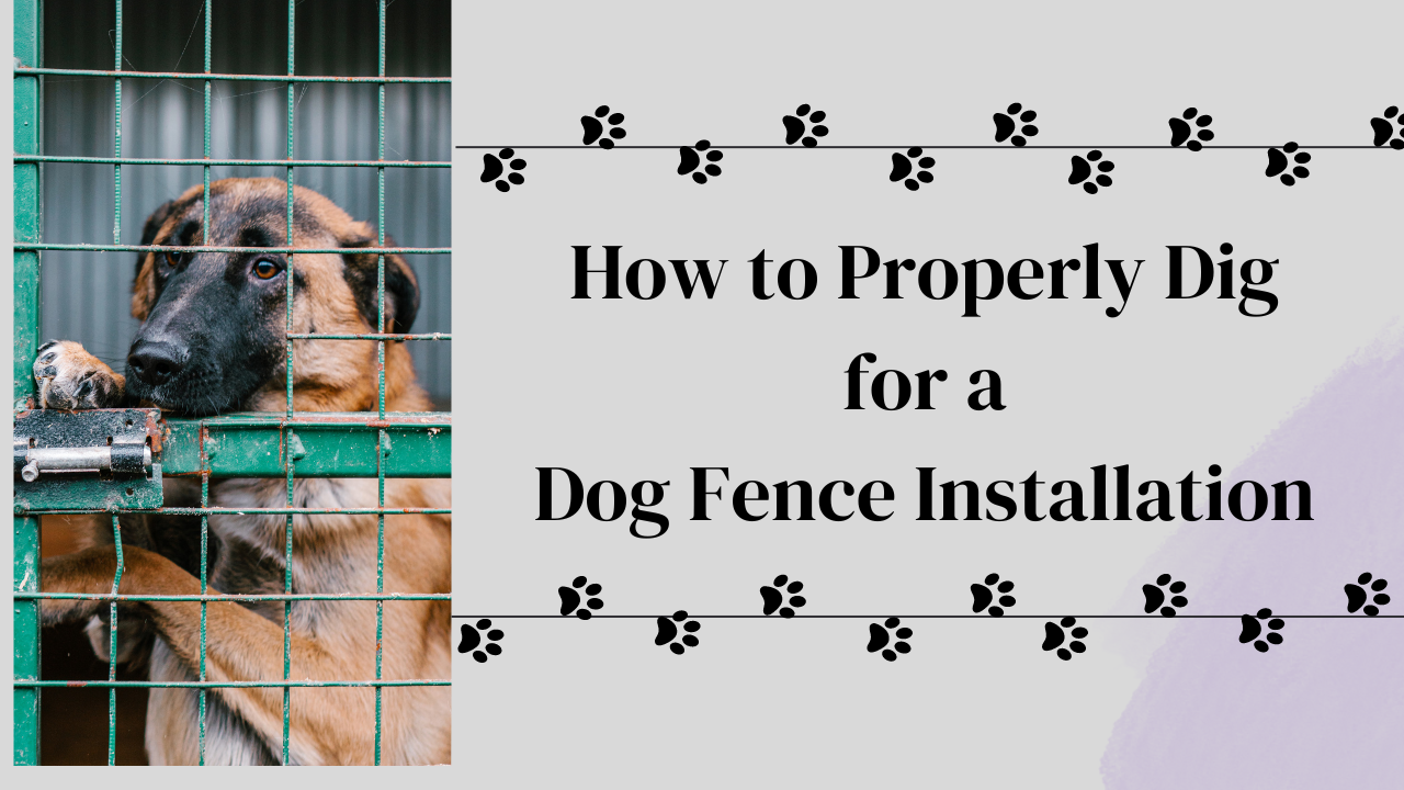 How to Properly Dig for a Dog Fence Installation