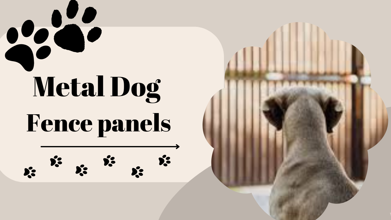 Metal Dog Fence Panels: Durable Solutions for Your Yard