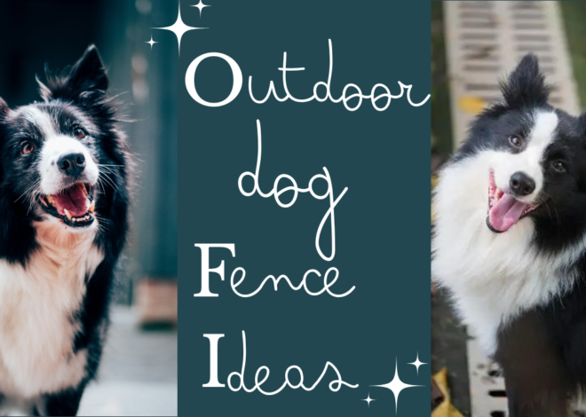 Outdoor Dog Fence Ideas: Safe and Secure Options