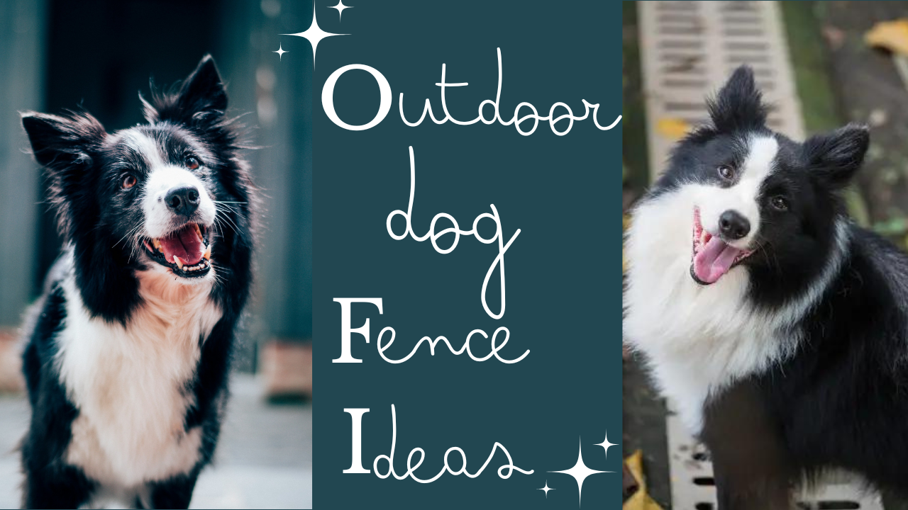Outdoor Dog Fence Ideas: Safe and Secure Options