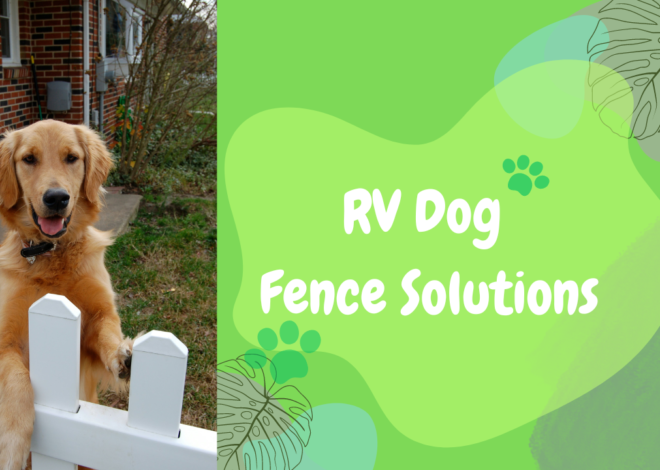 RV Dog Fence Solutions: Keeping Your Pet Safe on the Road
