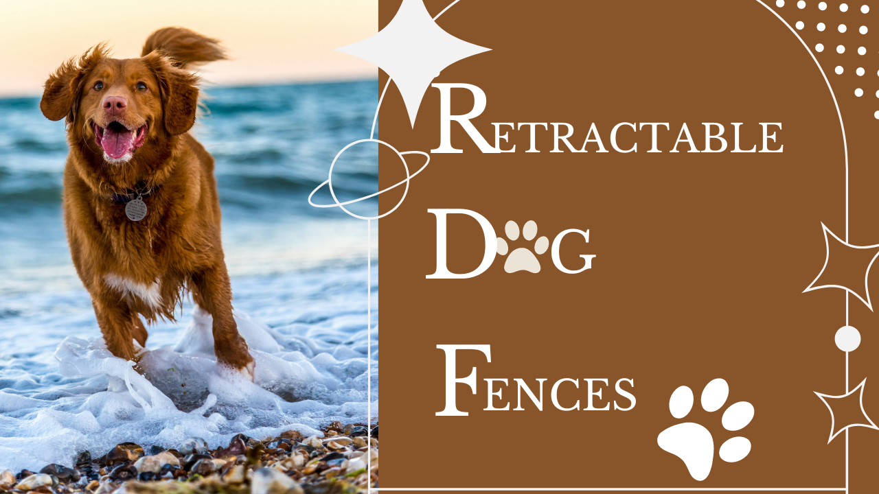 Retractable Dog Fences: Reviews and Buying Guide
