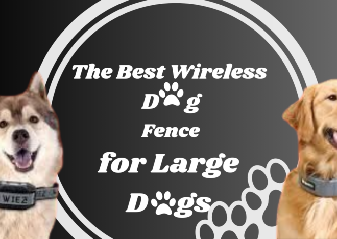 The Best Wireless Dog Fence for Large Dogs: A Comprehensive Review
