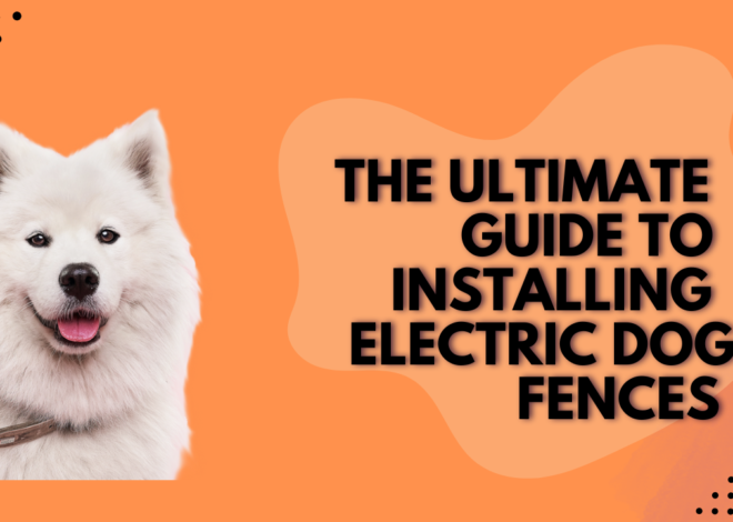 The Ultimate Guide to Installing Electric Dog Fences : Wireless, In-Ground, GPS, and Indoor Options.