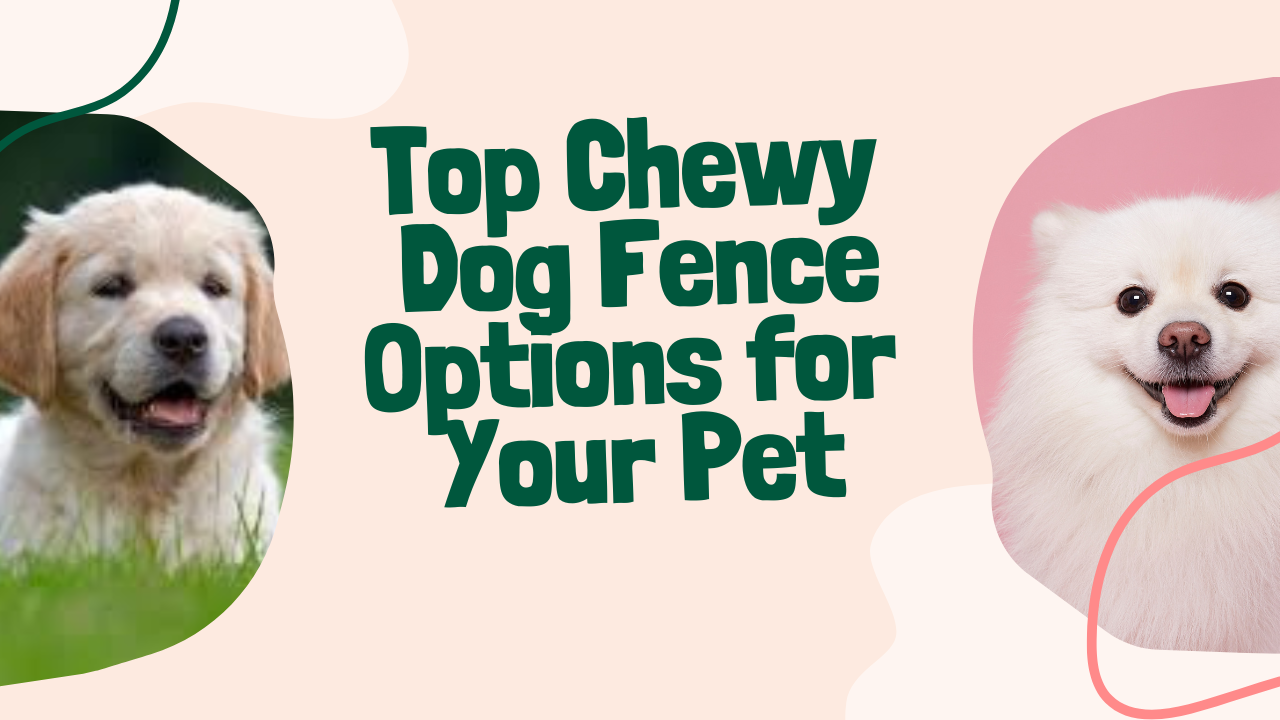 Top Chewy Dog Fence Options for Your Pet