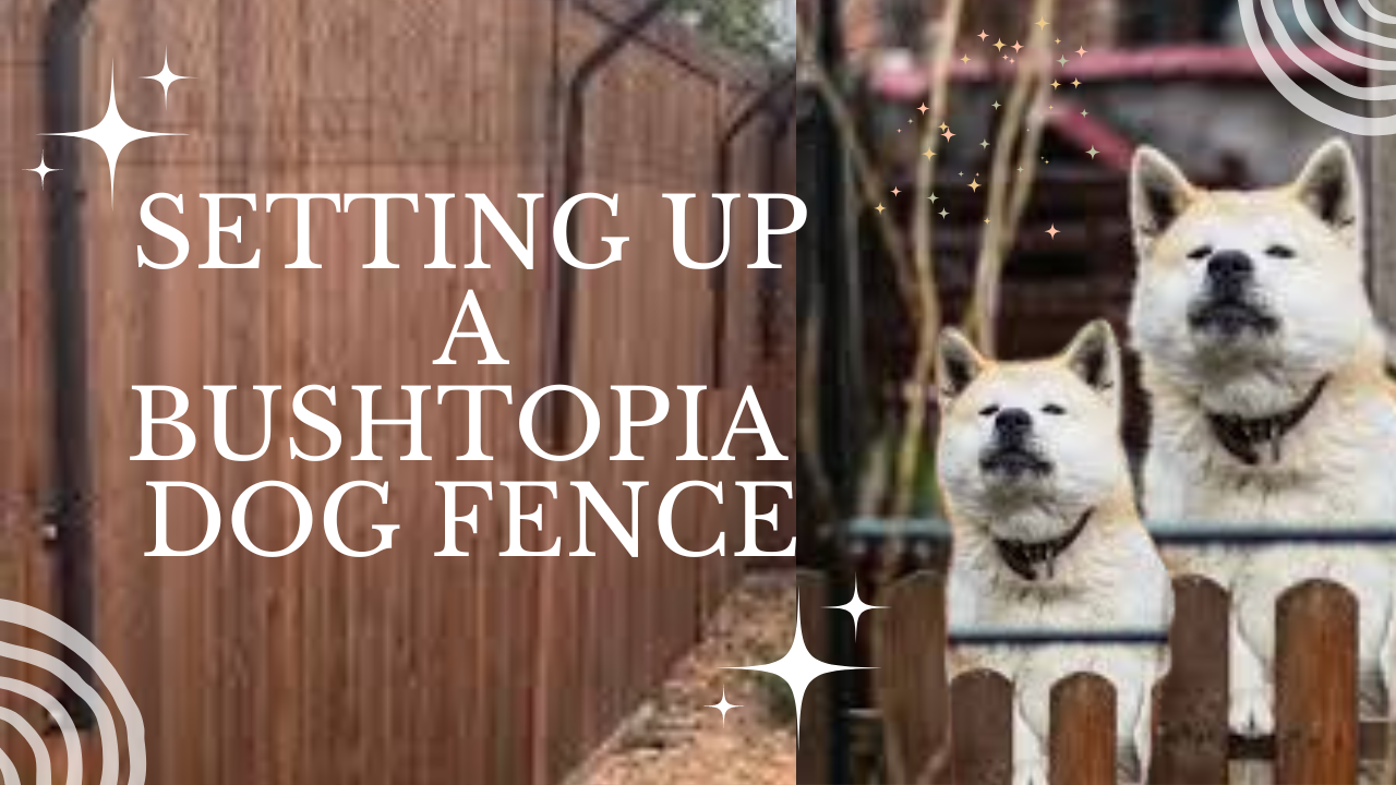 Setting Up a Bushtopia Dog Fence: Tips and Tricks