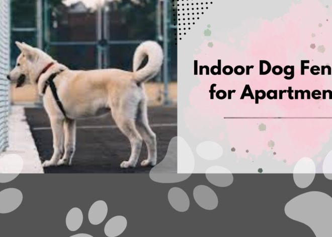 Indoor Dog Fences for Apartments: Choosing the Right One