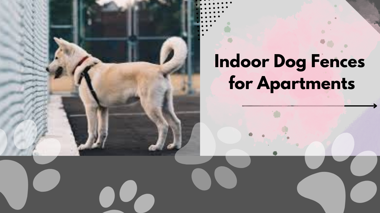 Indoor Dog Fences for Apartments: Choosing the Right One
